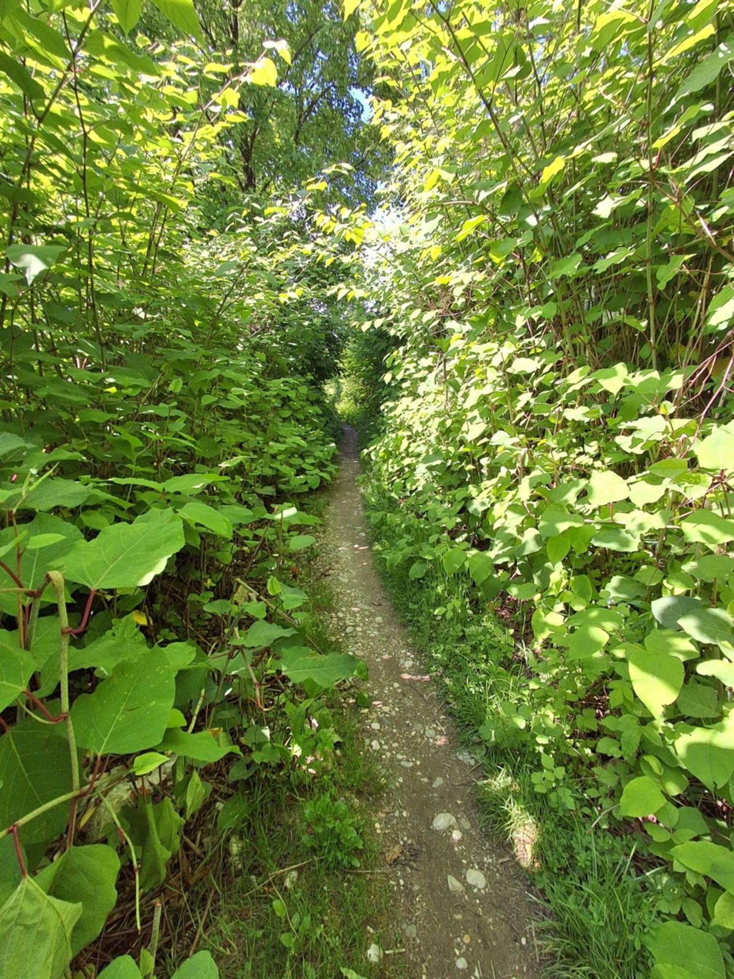 Garden House Room Next To A River With Additional Land For Your Tent You Get Two Bicycles For Amazing Views And Two Water Floats For A Mega River Run Personal Guidance Use The Location Not The Address To Get There Check Youtube Video Riverrundusko Camping Ljubljana